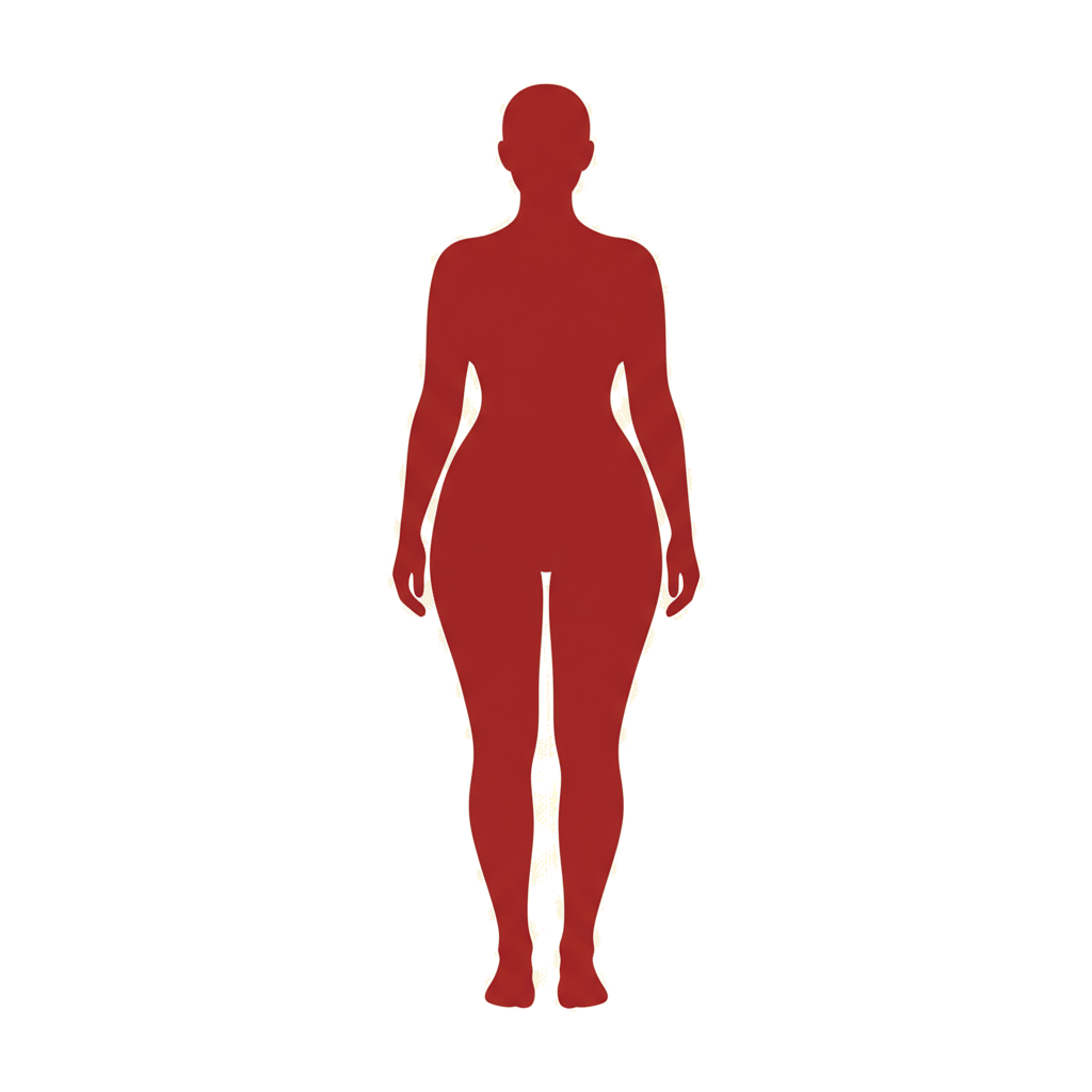 Silueta femenina Patronaje Simple